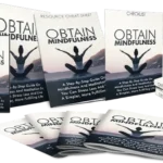 Obtain Mindfulness Video Upgrade - PLR Video Course
