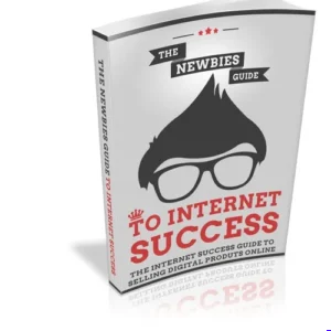 The Newbies Guide To Internet Success