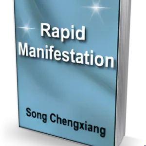 The Rapid Manifestation Training Course - PLR eBook